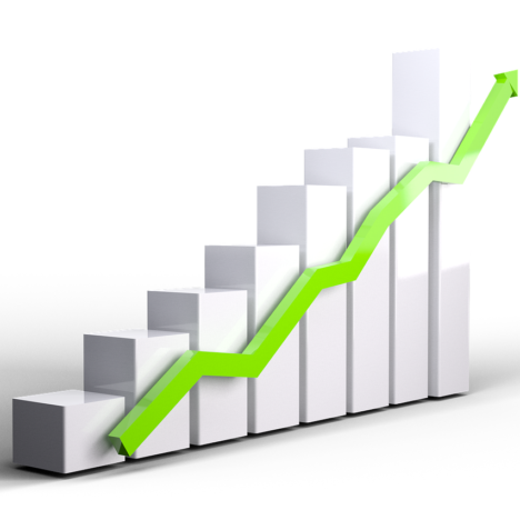 Best Small Cap Funds to Invest in 2024?